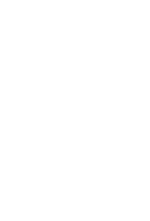 Lion Logo